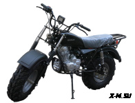 Мотоцикл внедорожный СКАУТ-3VR-250 колеса 12&quot;