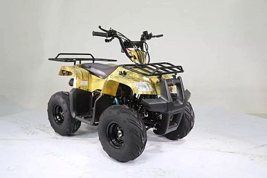 Квадроцикл MOTOLAND (МОТОЛЕНД) 110 RIDER