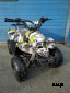 Квадроцикл RAPTOR 110