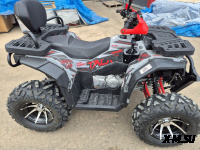 Квадроцикл PROMAX TAURUS 300 MAX-PRO Красный